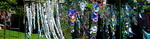 to Pergola Musicale