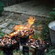cuisson primitive minimale